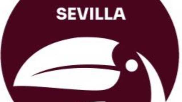 Ayudante/a de Cocina