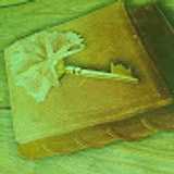 juan miguel M. avatar icon