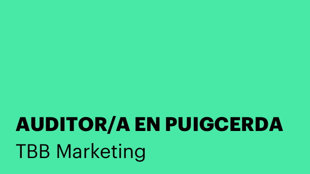 AUDITOR/A EN PUIGCERDA