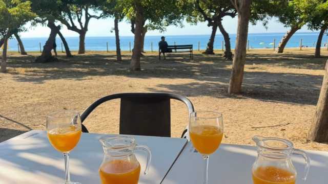 Camarero/a de Restaurante