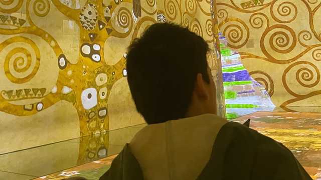 Care / Support Worker