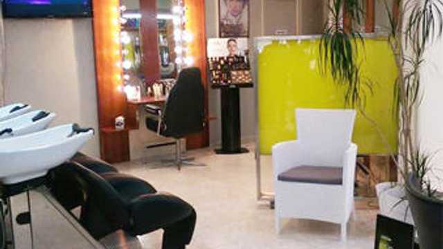 Ayudante/a de Peluqueria y Estética