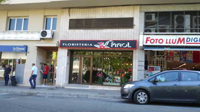 AYUDANTE FLORISTERIA