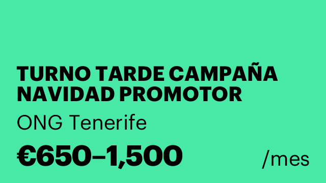 TURNO TARDE CAMPAÑA NAVIDAD PROMOTOR