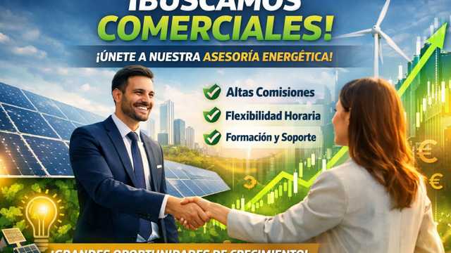 Asesor/a Energético