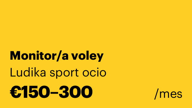 Monitor/a voley