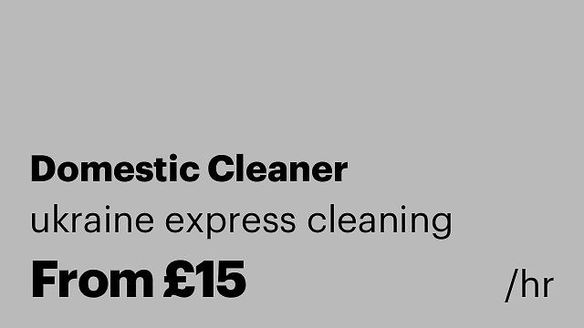 Domestic Cleaner