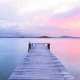 elena A. avatar icon