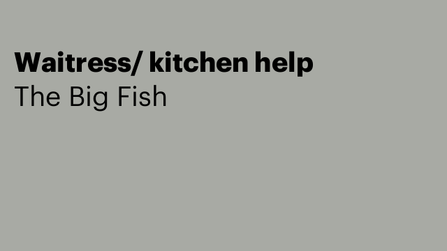 Waitress/ kitchen help