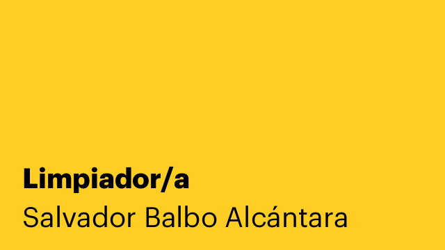 Limpiador/a