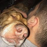 Moisés  B. avatar icon