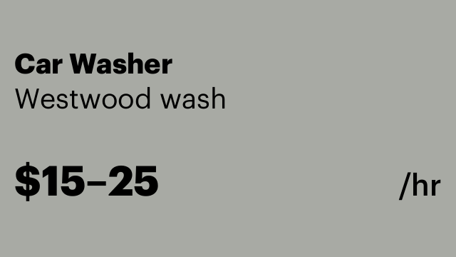 Car Washer