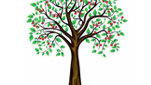 Level 2/3 early Years practitoner