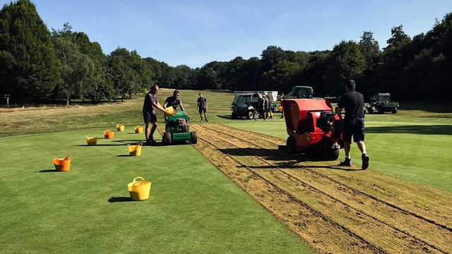 Mechanic / Greenkeeper