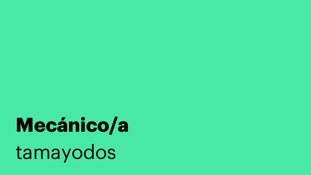 Mecánico/a