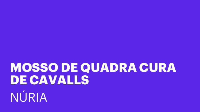 MOSSO DE QUADRA CURA DE CAVALLS
