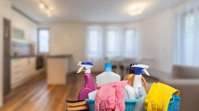 Empleado/a del Hogar