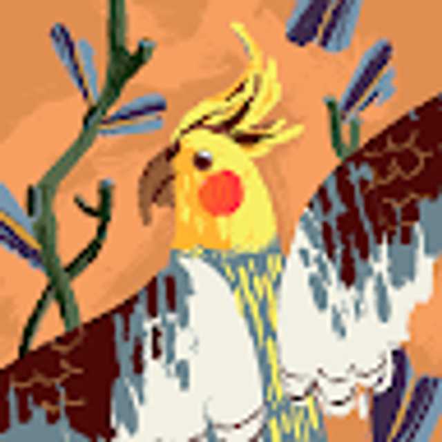Candidate avatar