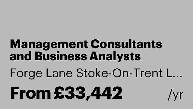 Management Consultants and Business Analysts