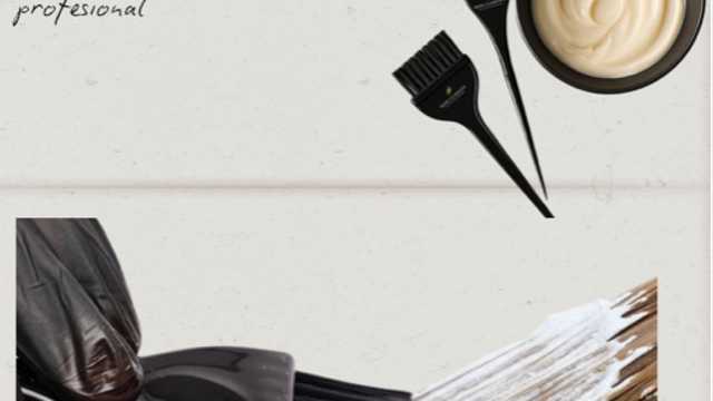 Modelo de Peluquería