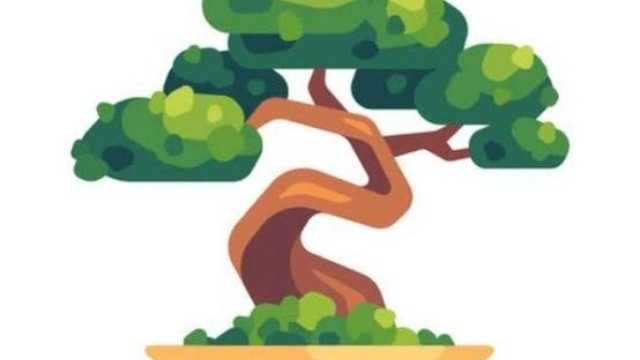 Recepcionista/ limpiador