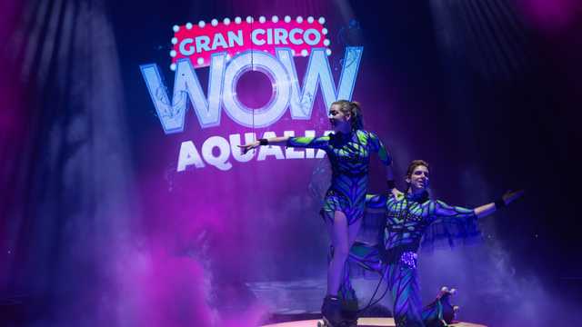 SE BUSCA ARTISTA CLOWN PARA CIRCO