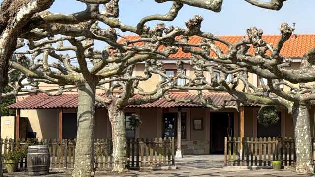 Cocinero/a Restaurante