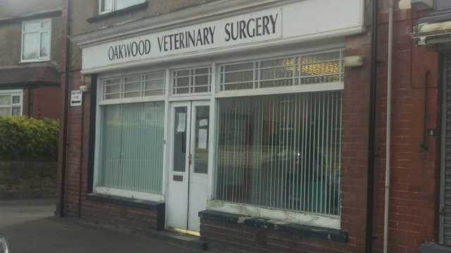 Receptionist / vet care assistant