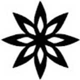 District Mot avatar icon