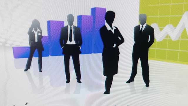 COMERCIAL VISITADOR INMOBILIARIAS