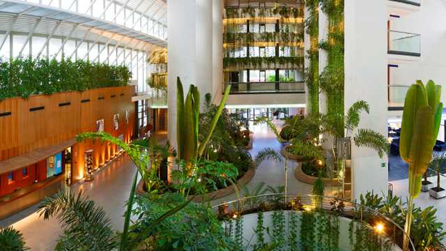 Botones / Hamaquero - Hoteles Meliá