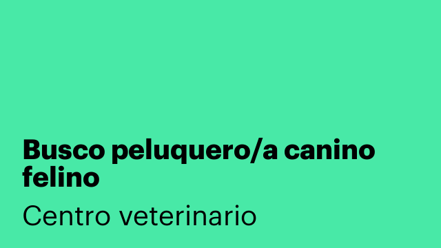 Busco peluquero/a canino felino