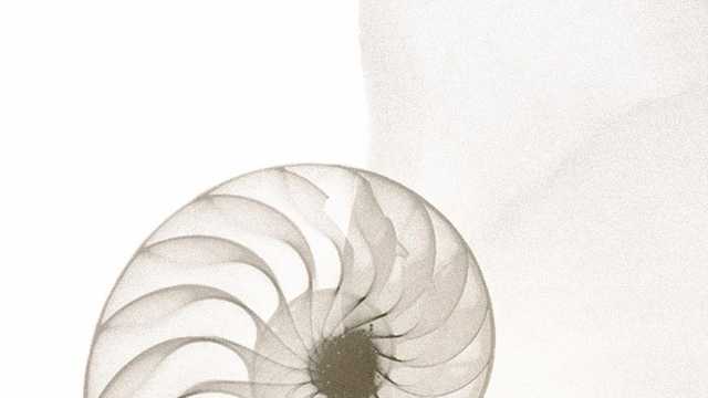 Esteticista con habilidades comerciales