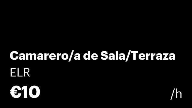 Camarero/a de Sala/Terraza