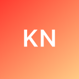 Karl N. avatar icon