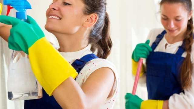 Cleaner / Maintenance