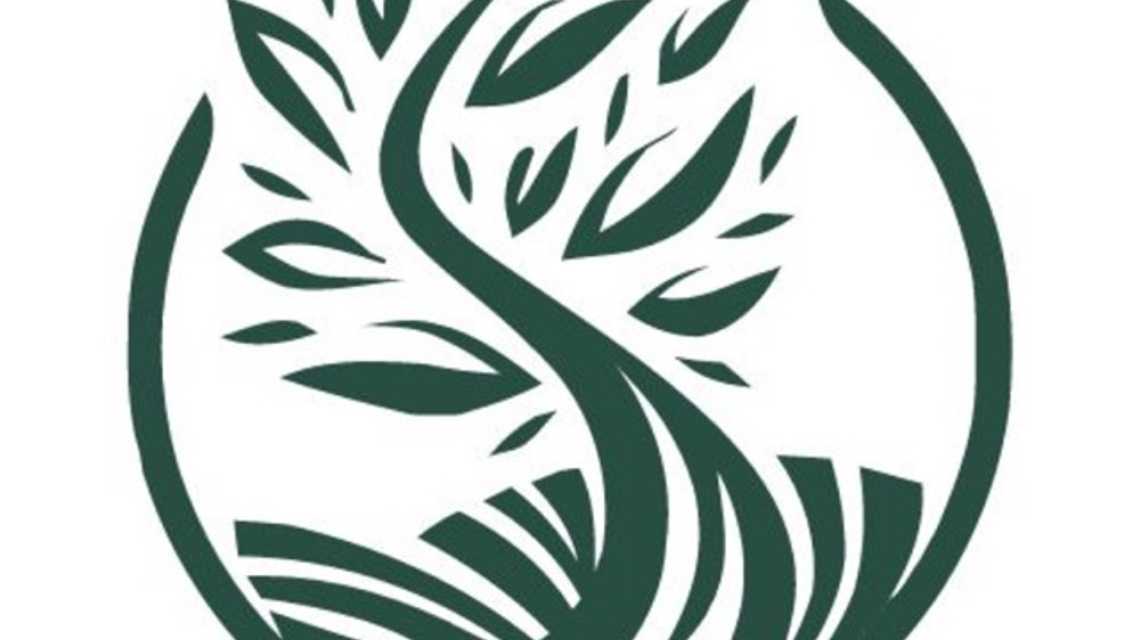 Andaluza de Paisajismo cover image