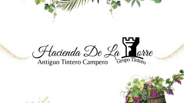 Limpiador/a