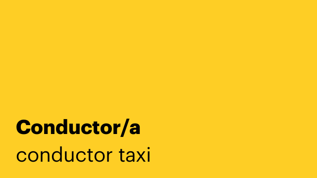 Conductor/a