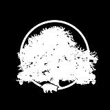 La Encina S. avatar icon