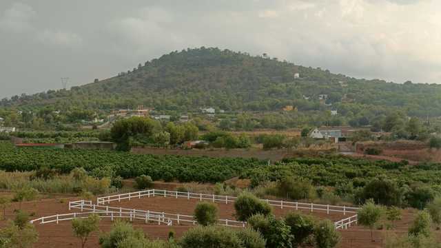 Mantenimiento de finca media jornada