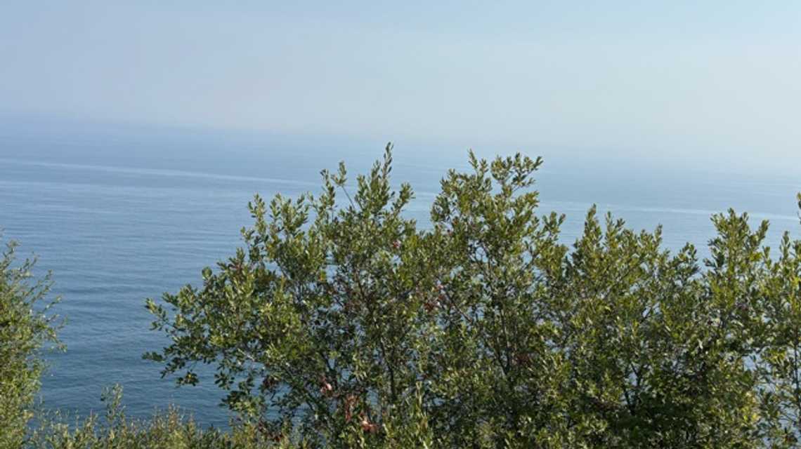 Enoteca  cover image