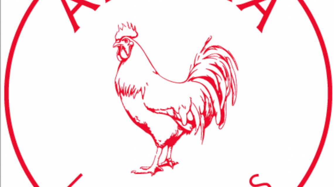 APLUMA "Los Pollos" cover image