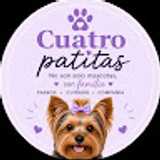 Cuatro P. avatar icon