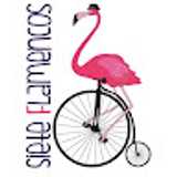 SIETE FLAMENCOS E. avatar icon