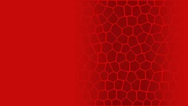 Diseñador/a Gráfico/a