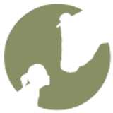 Fundación Santuario V. avatar icon