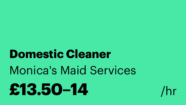 Domestic Cleaner