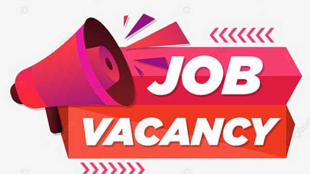 Customer Service Assistant