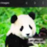 momin H. avatar icon